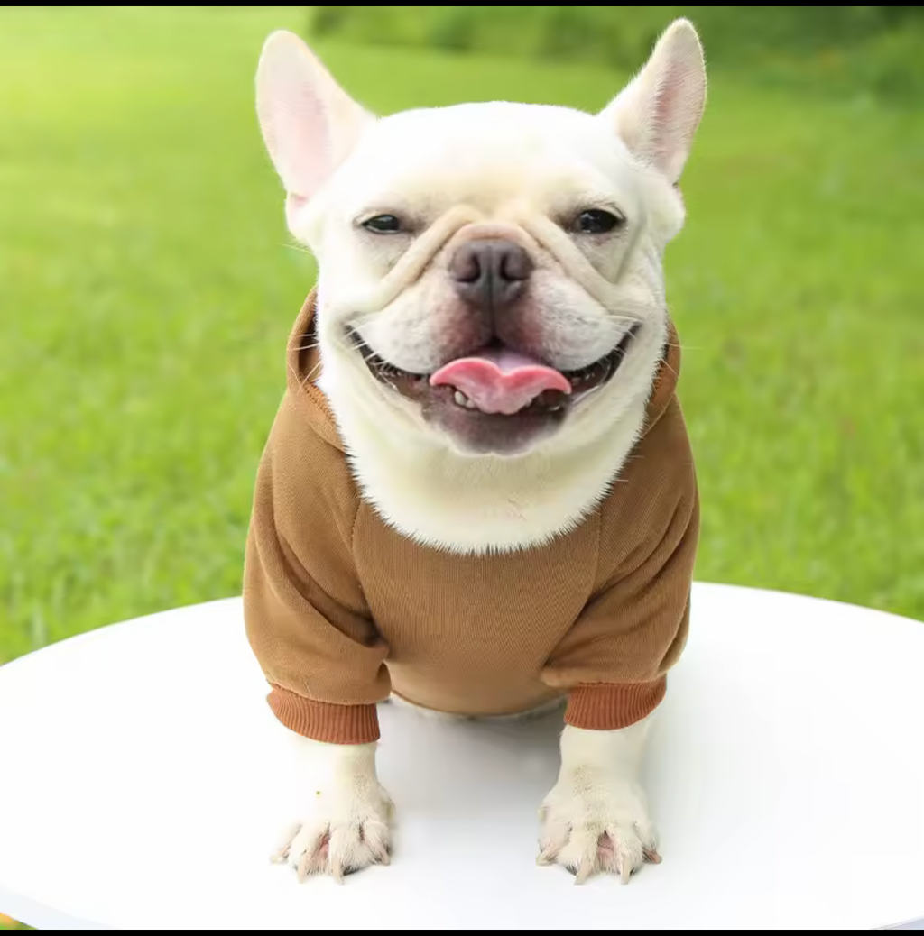 Warm Dog Sweater – Cozy Winter Jacket for Small & Medium Dogs & Cats