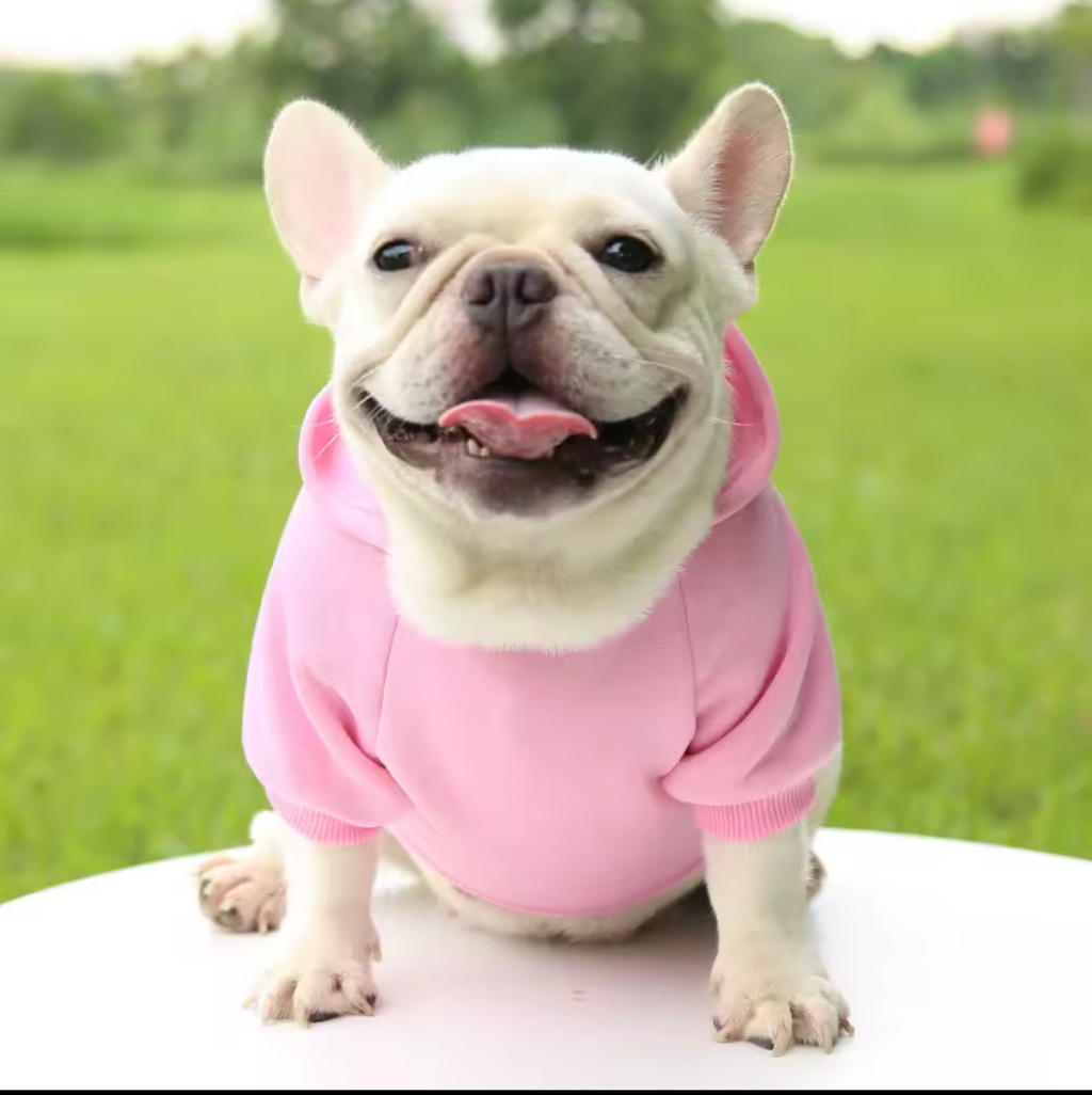 Warm Dog Sweater – Cozy Winter Jacket for Small & Medium Dogs & Cats