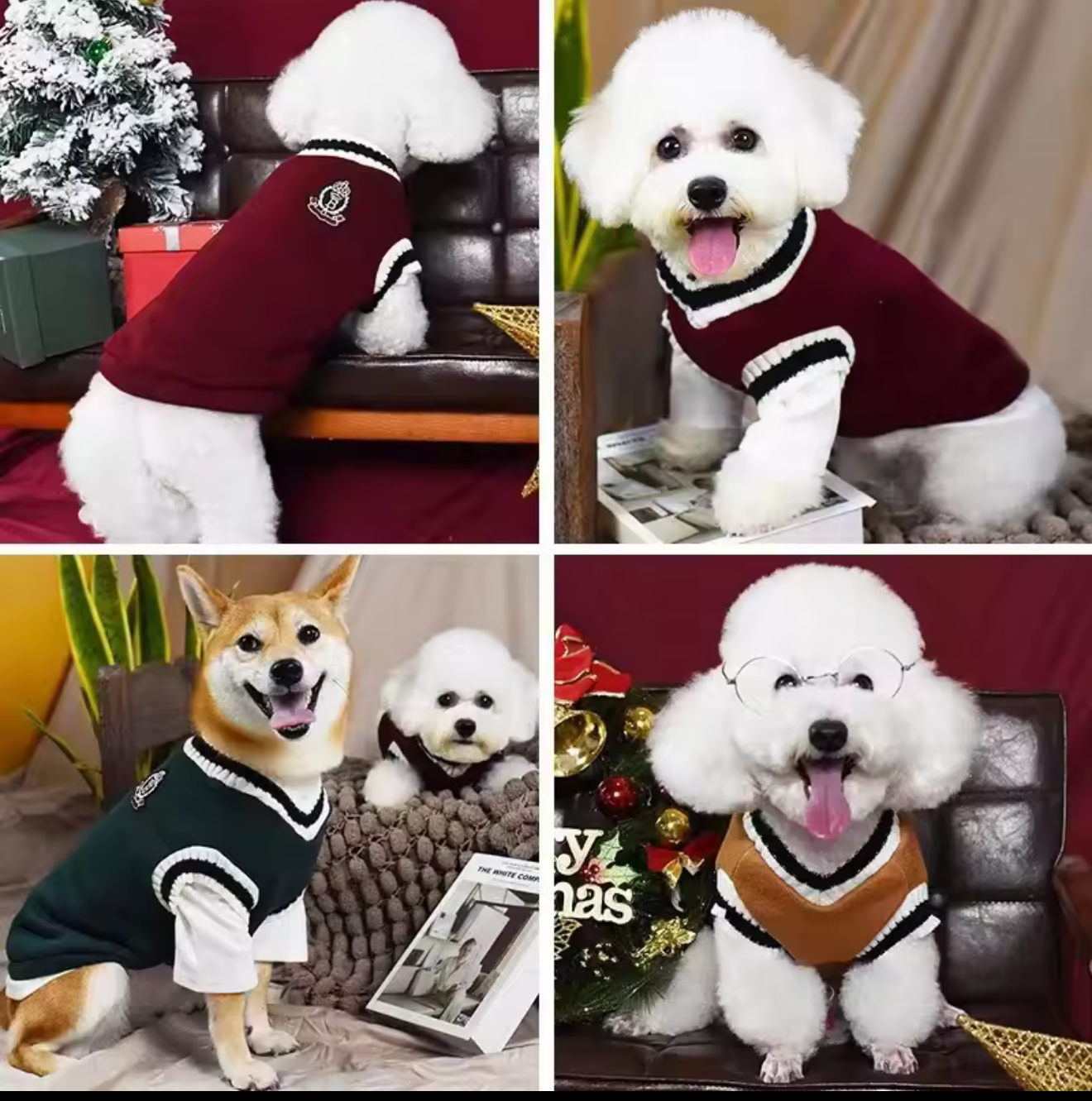 College Style V-Neck Sweater – Warm Pet Sweater for Small Dogs & Cats