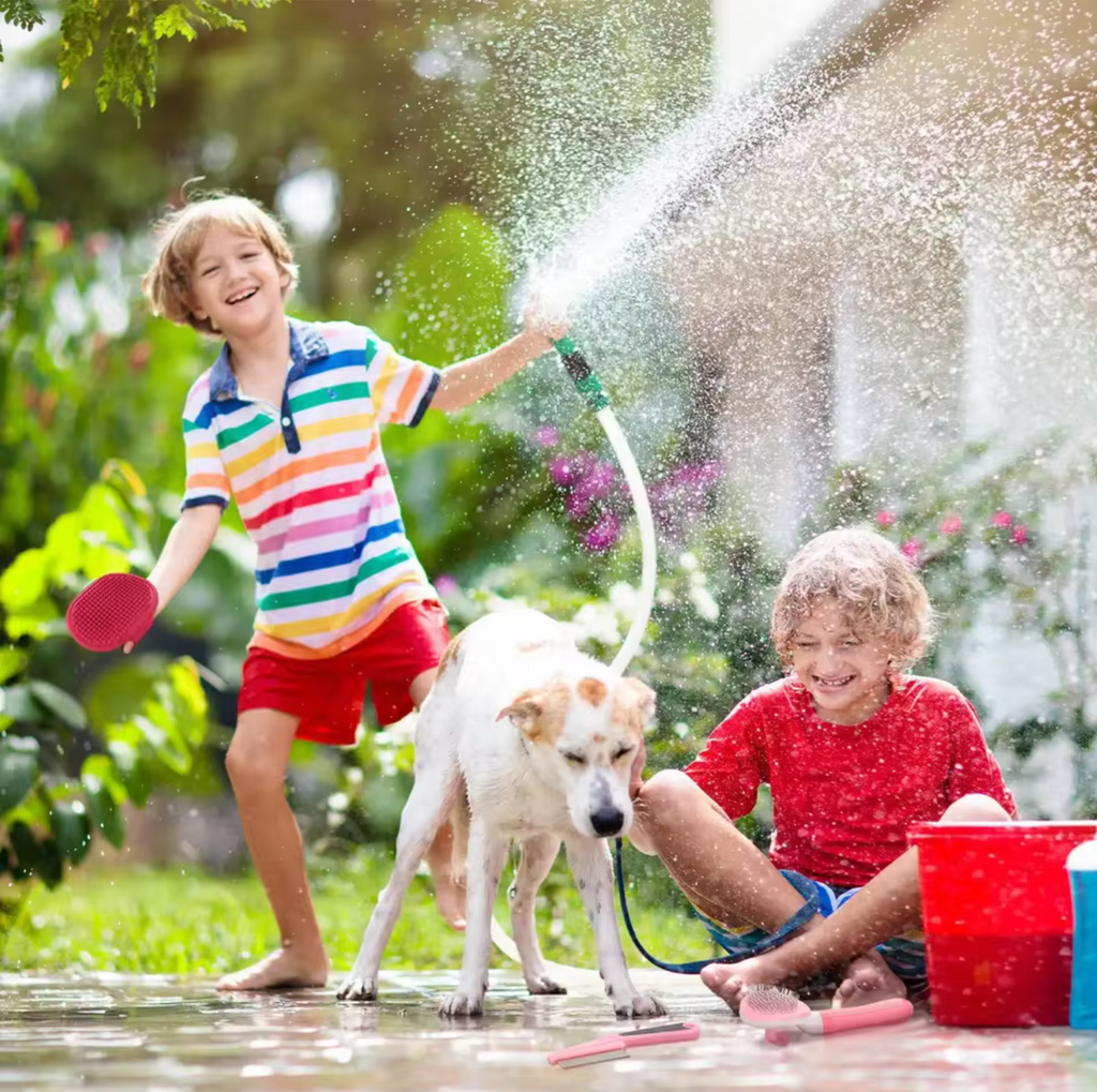 9‑Piece Dog Grooming Kit – Brush, Comb & Nail Tools