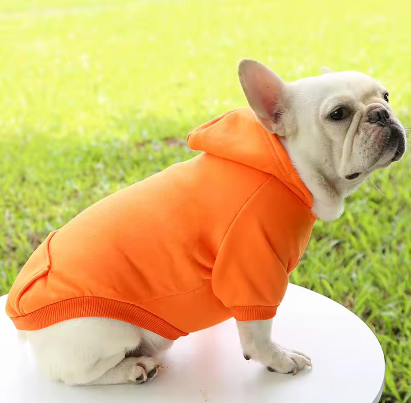 Warm Dog Sweater – Cozy Winter Jacket for Small & Medium Dogs & Cats